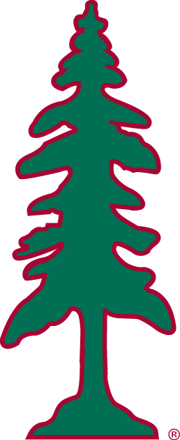 Stanford Cardinal 1993-2013 Alternate Logo t shirts iron on transfers